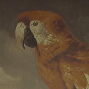 主人～别揉了～屁股～啊～嗯动漫
